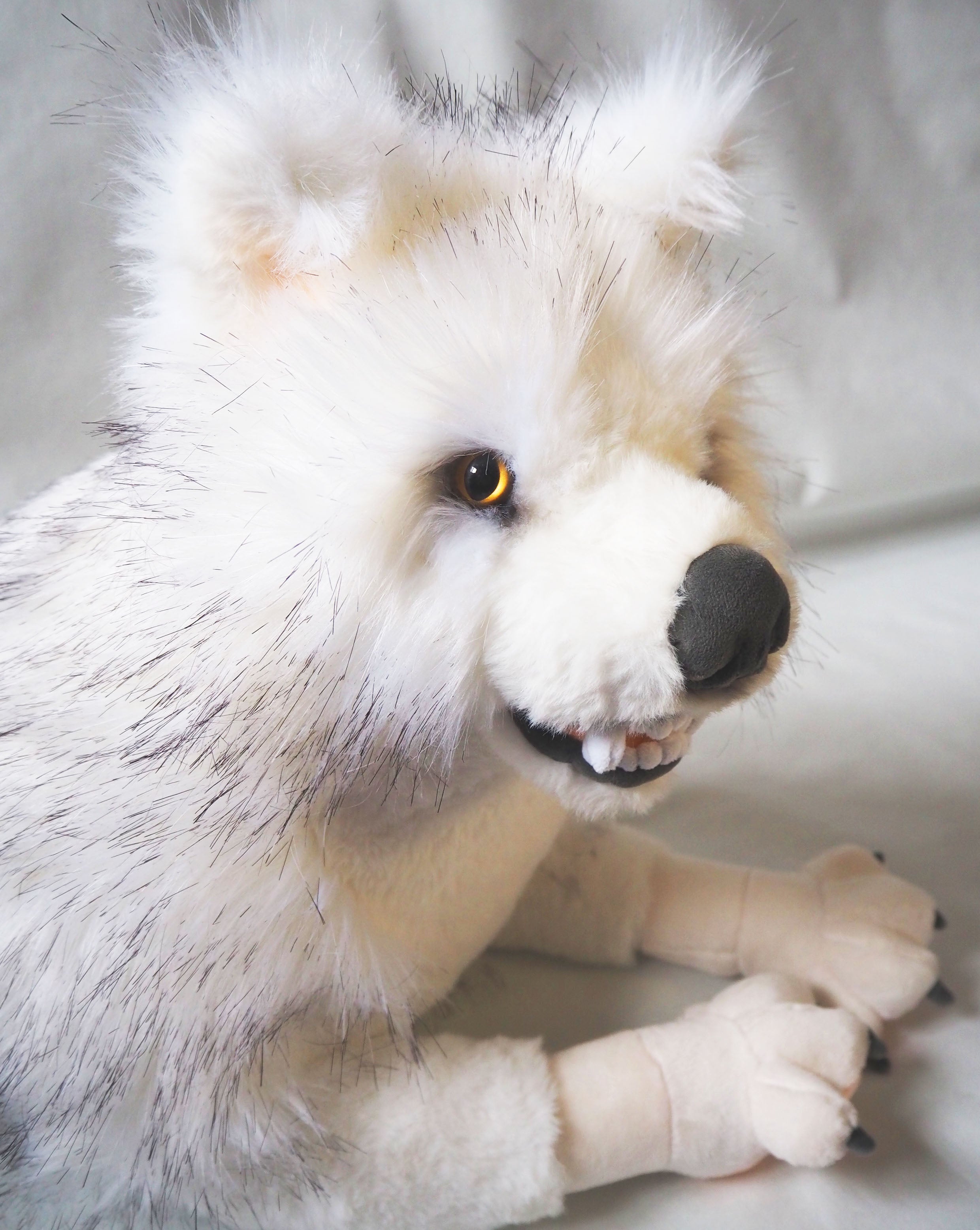 Blanca der Wolf
