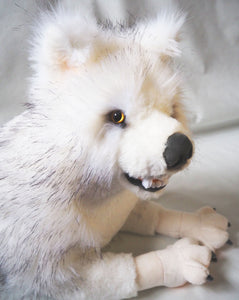 Blanca der Wolf