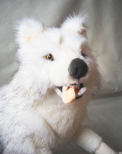 Blanca der Wolf